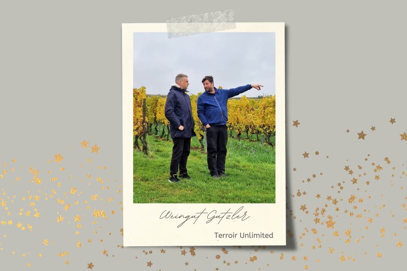 Weingut Gutzler Rheinhessen bei Terroir Unlimited Weinhandel