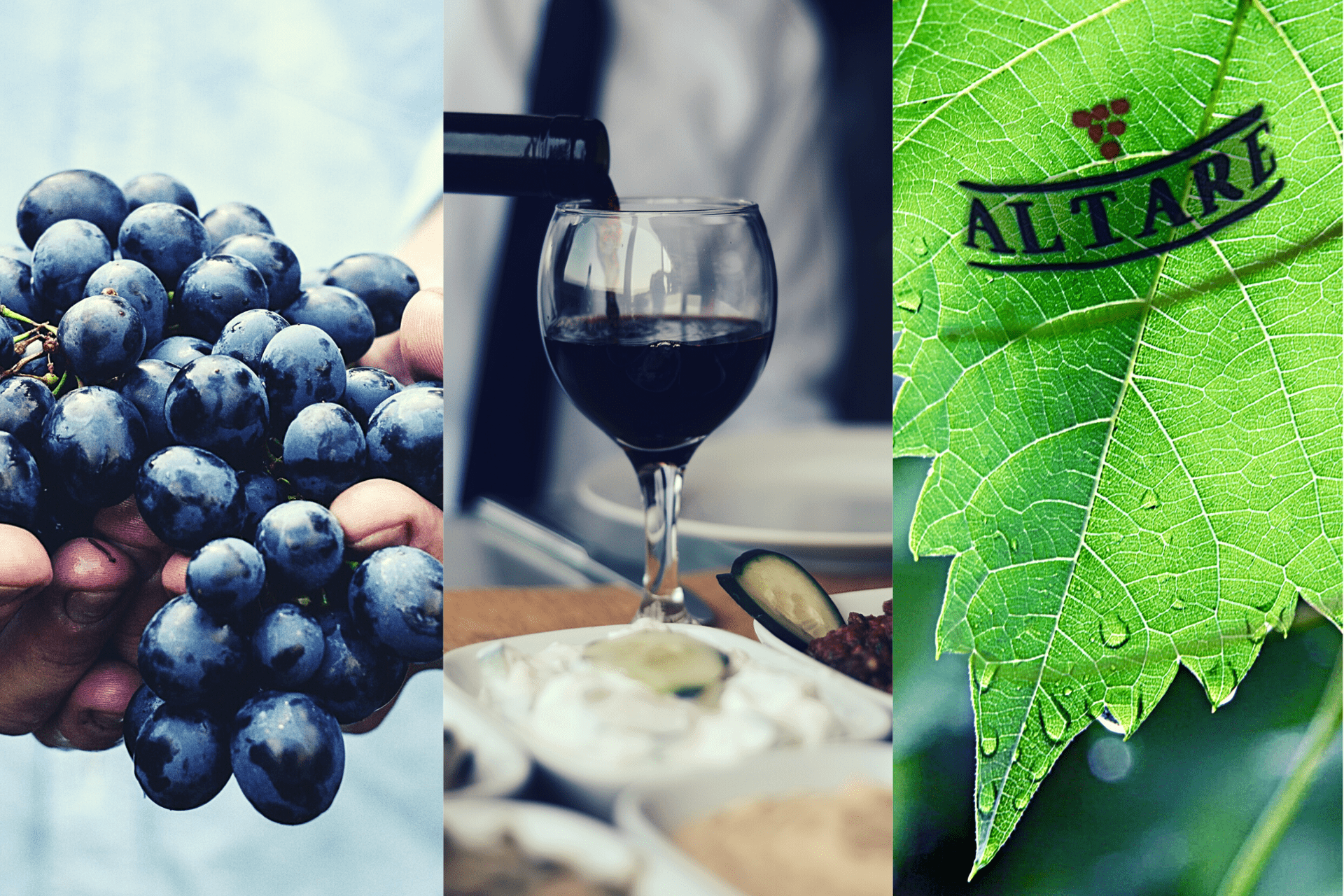 Altare - TERROIR UNLIMITED