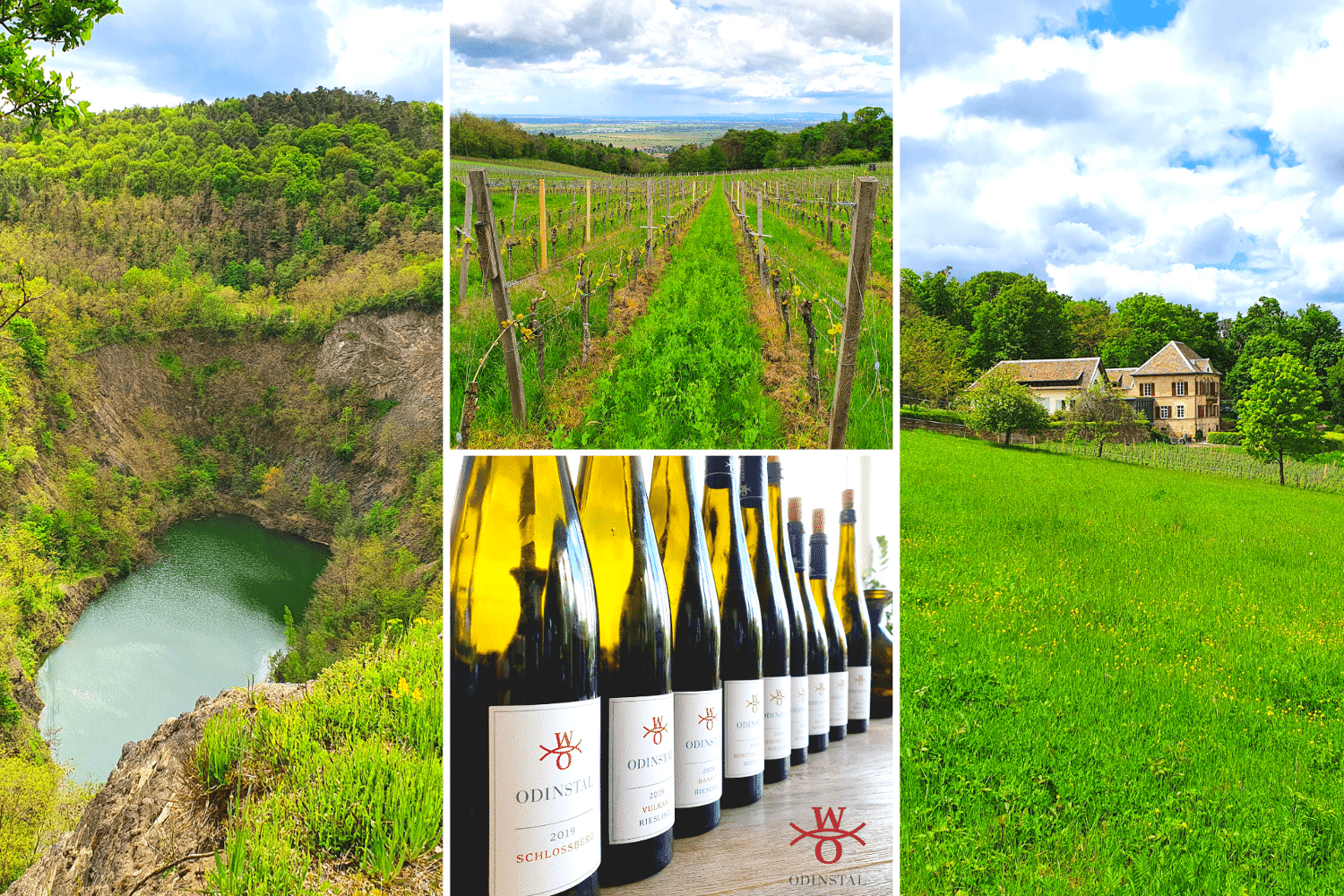 Odinstal - TERROIR UNLIMITED