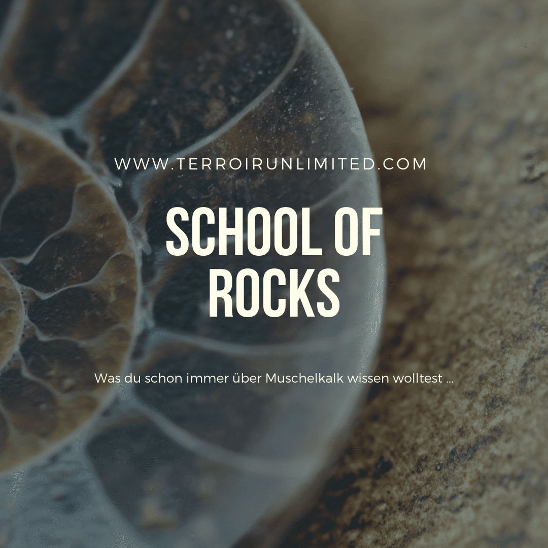 School of Rocks "Muschelkalk" - TERROIR UNLIMITED