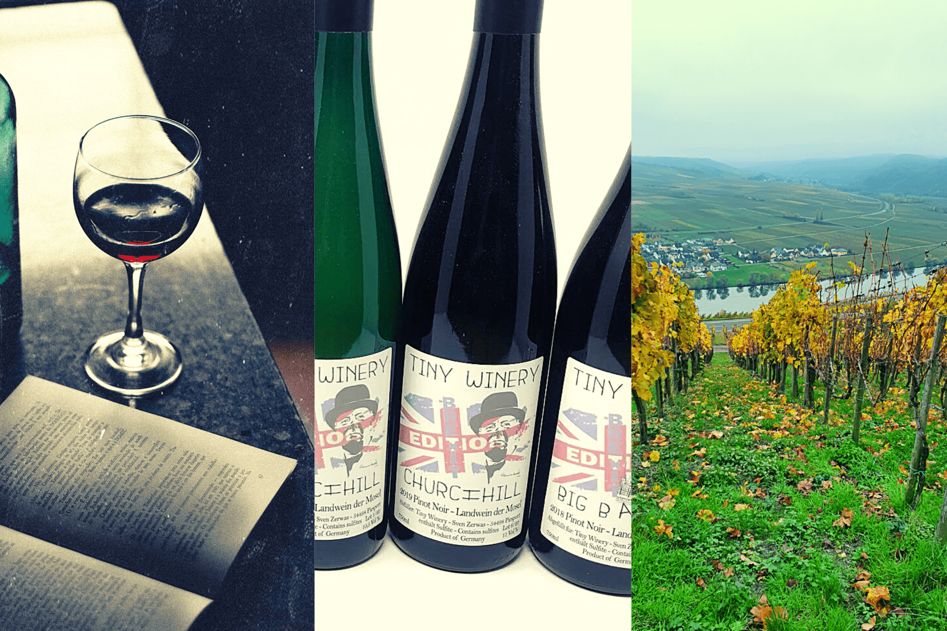 Tiny Winery - TERROIR UNLIMITED