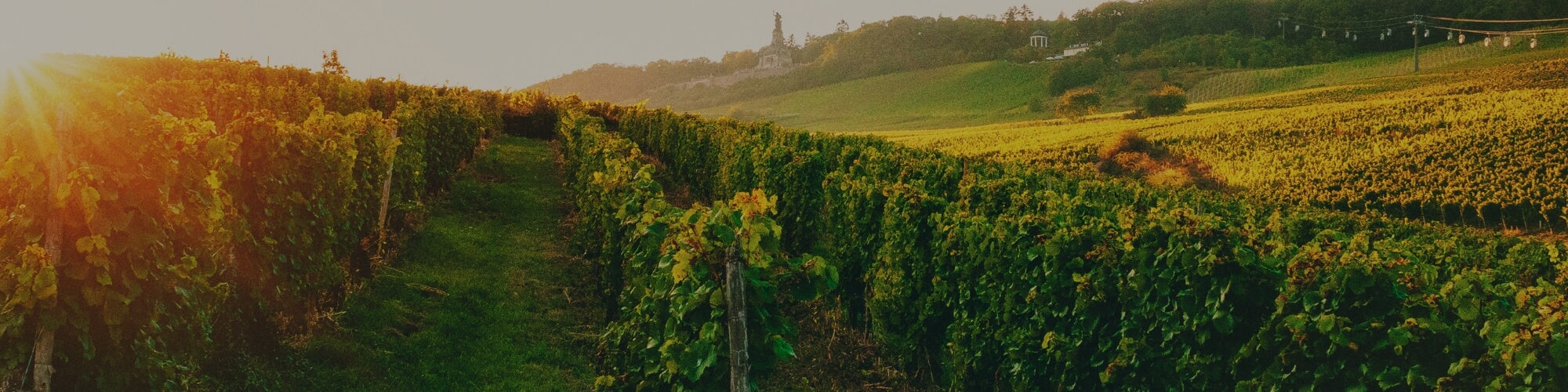 Deutschland - TERROIR UNLIMITED