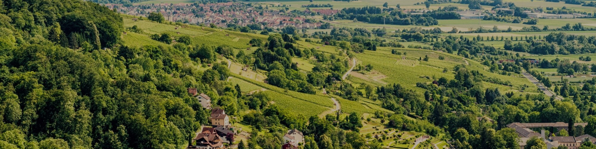 Hessische Bergstraße - TERROIR UNLIMITED