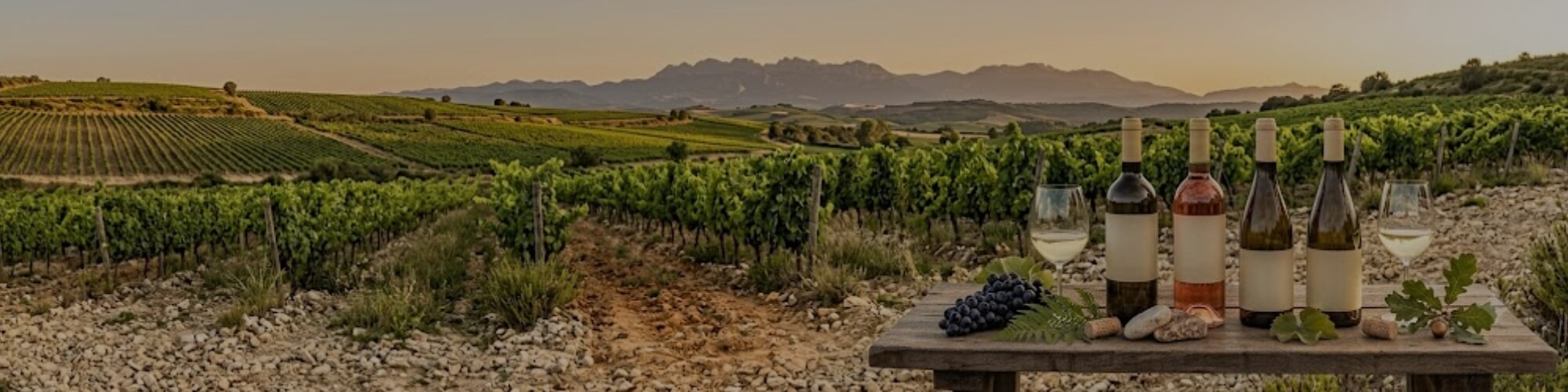 Rioja - TERROIR UNLIMITED