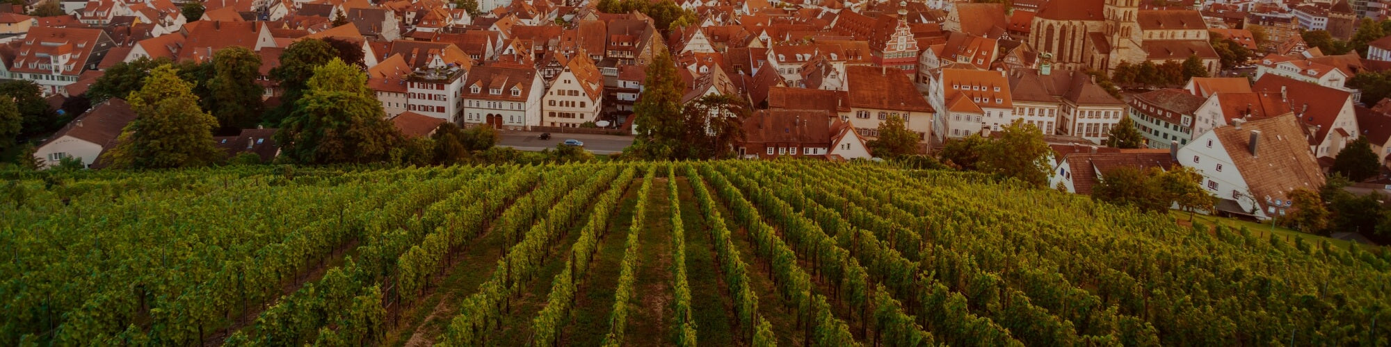 Württemberg - TERROIR UNLIMITED