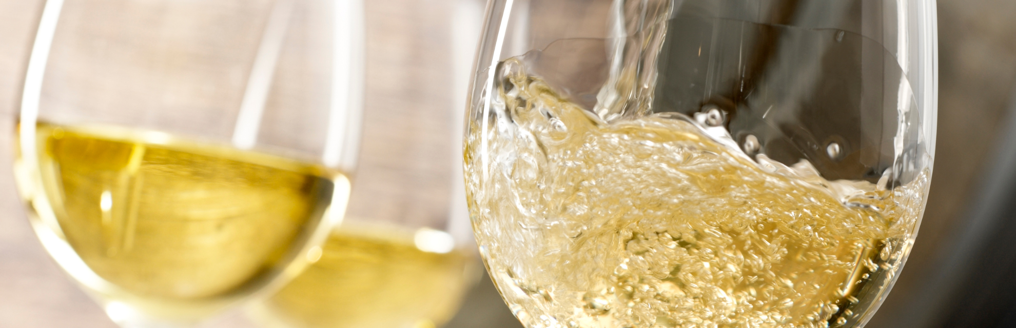 Weißwein - TERROIR UNLIMITED