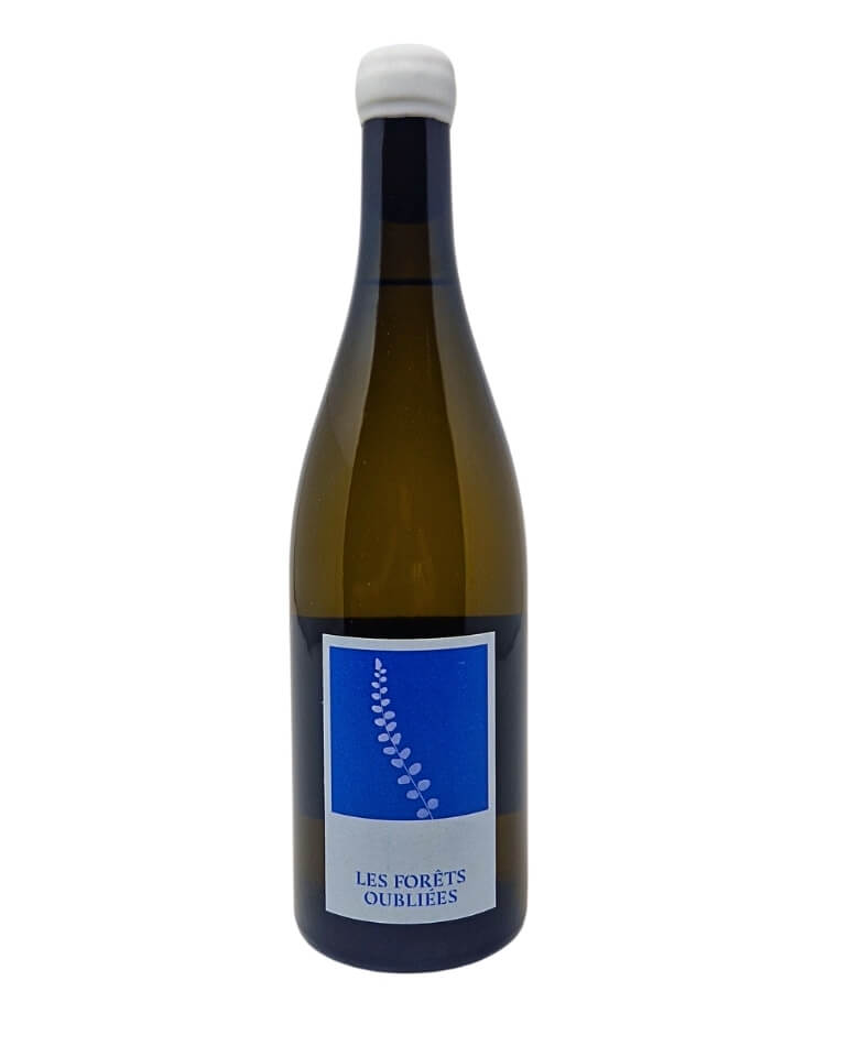 Hunter McKirdy 2024 Les Forêts Oubliées Weißwein Elsass Frankreich be Terroir Unlimited Weinhandel Bochum