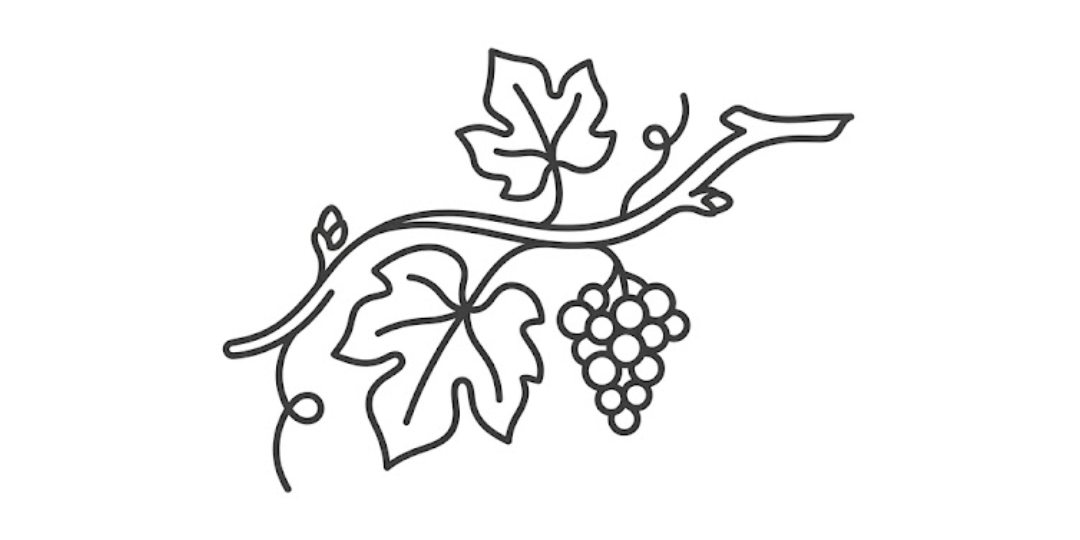 Naturweine bei Terroir Unlimited Weinhandel Bochum