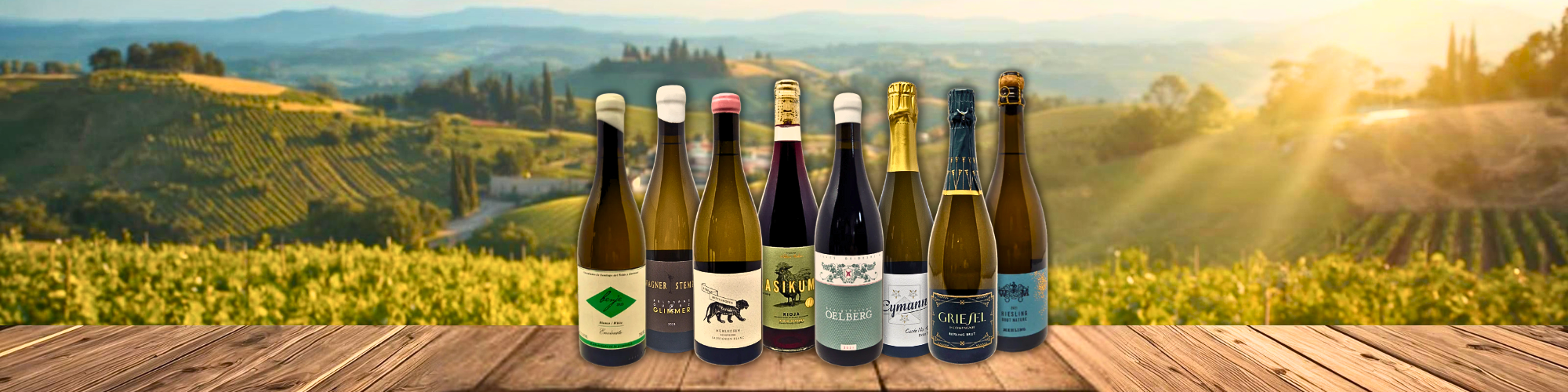 Terroir Weine TERROIR UNLIMITED Weinhandel Bochum