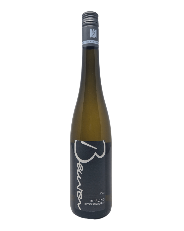 Beurer 2022 Riesling Kieselsandstein Weißwein Bio - TERROIR UNLIMITED