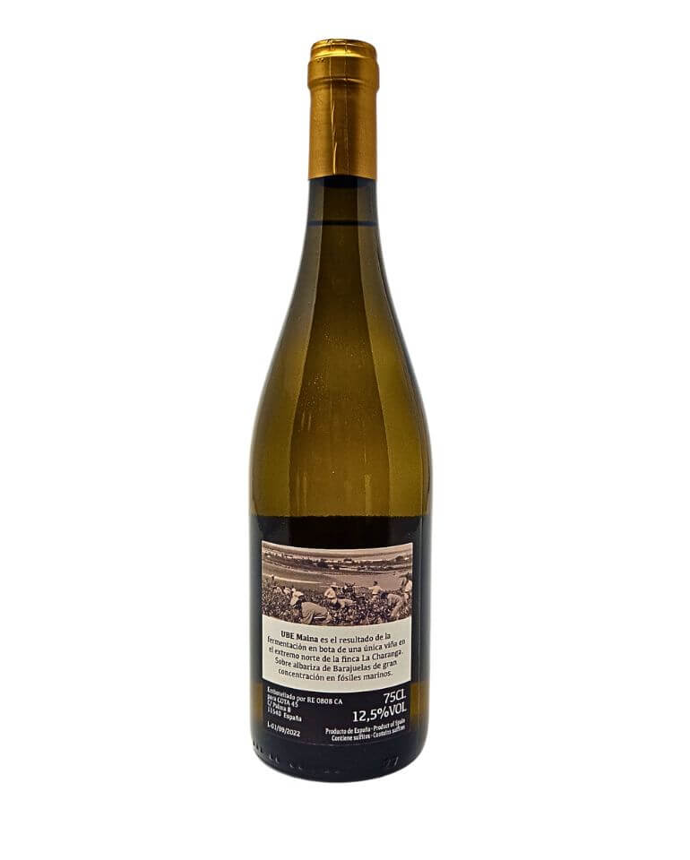 Cota 45 2020 UBE La Charanga Weißwein - TERROIR UNLIMITED