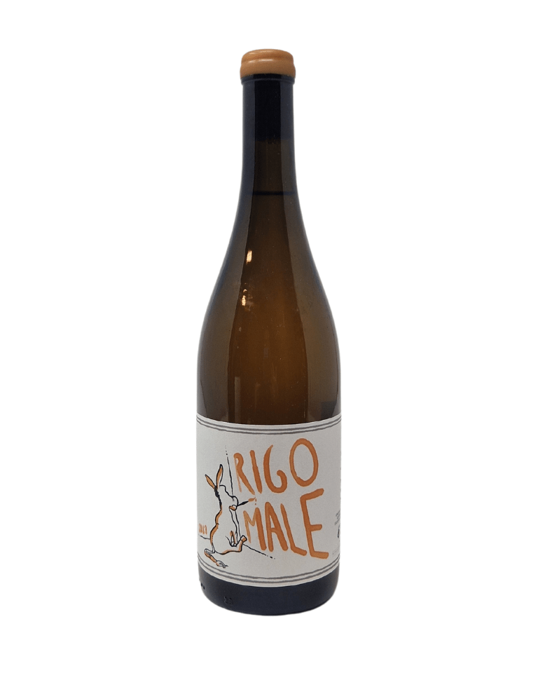 Forestieri 2023 Rigomale Orange - TERROIR UNLIMITED