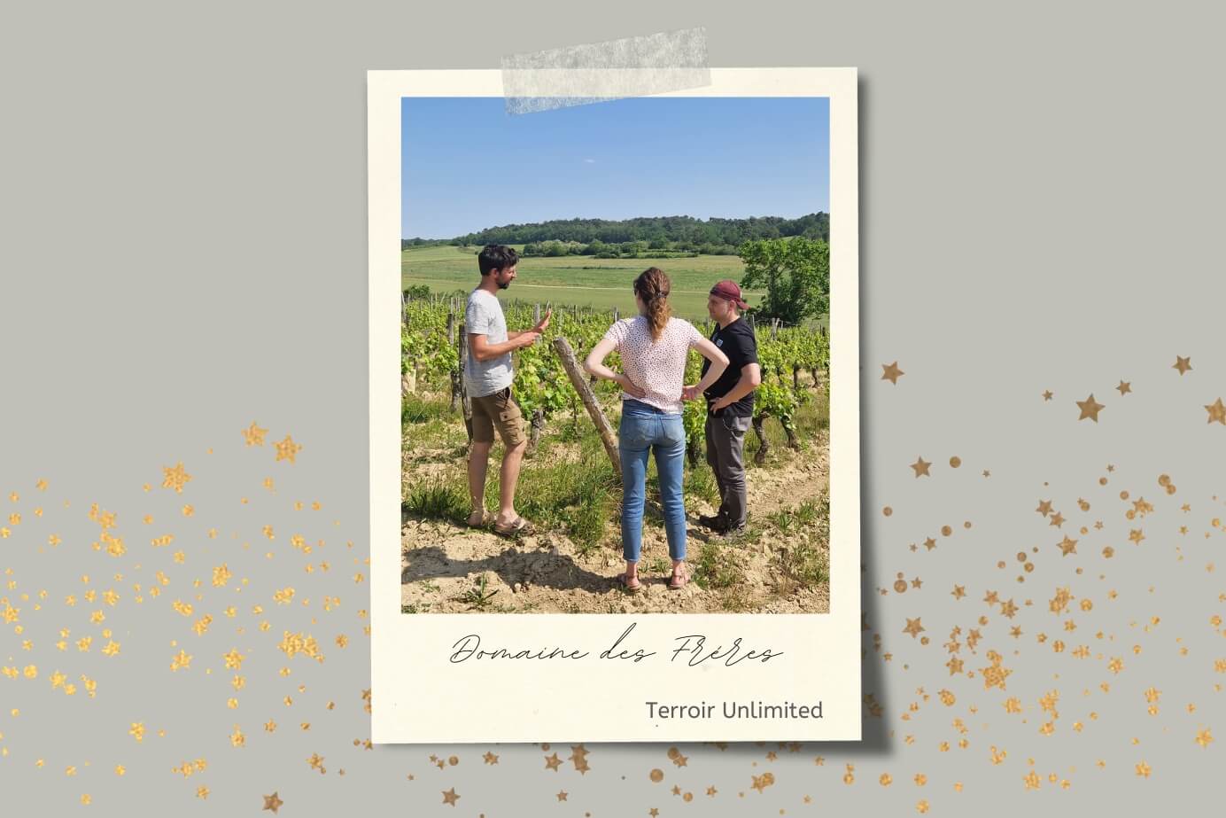 Domaine des Freres bei Terroir Unlimited Weinhandel