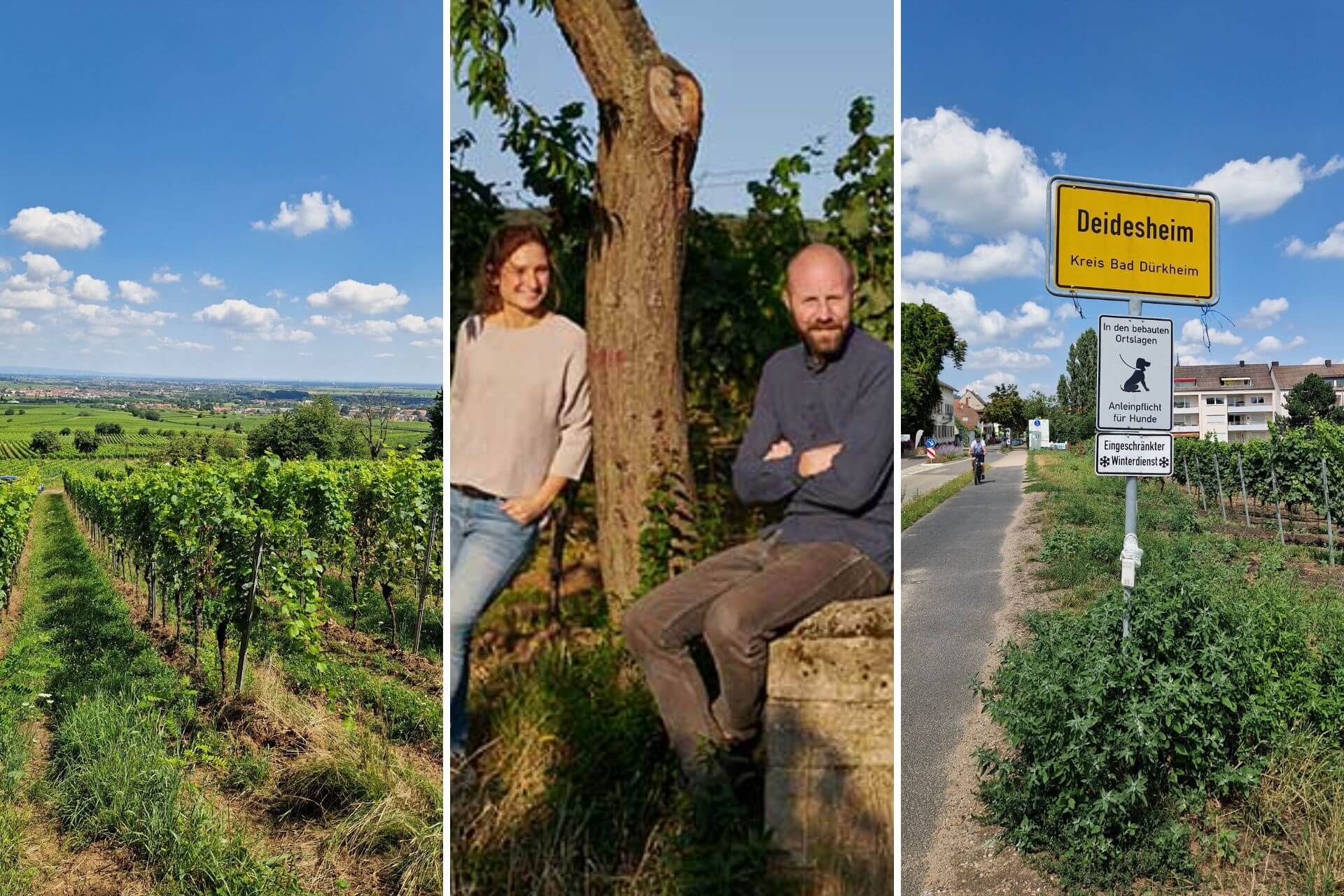 Weingut Mehling Deidesheim Pfalz Deutschland bei Terroir Unlimited
