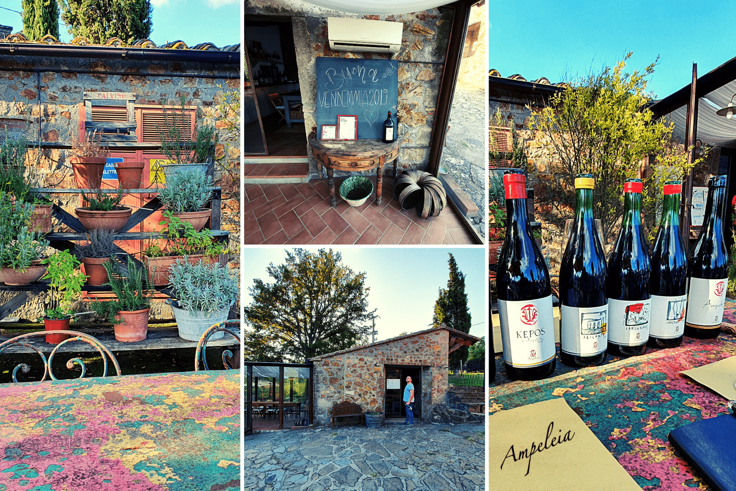 Ampeleia - TERROIR UNLIMITED