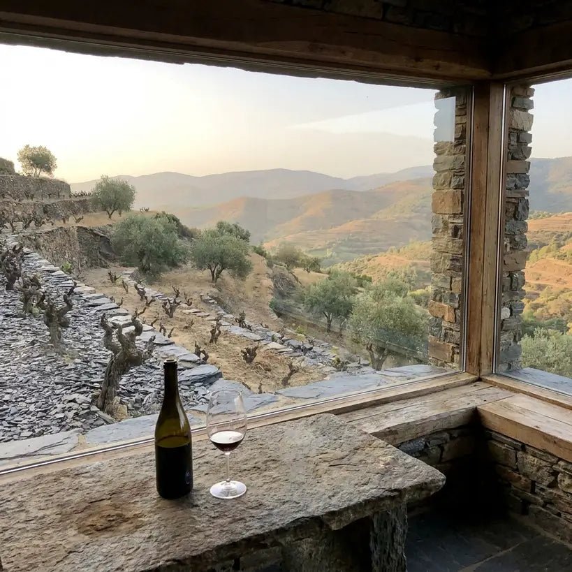 Priorat verstehen: Llicorella, Höhenlagen und alte Reben als Schlüssel für terroirgeprägte spanische Weine - TERROIR UNLIMITED
