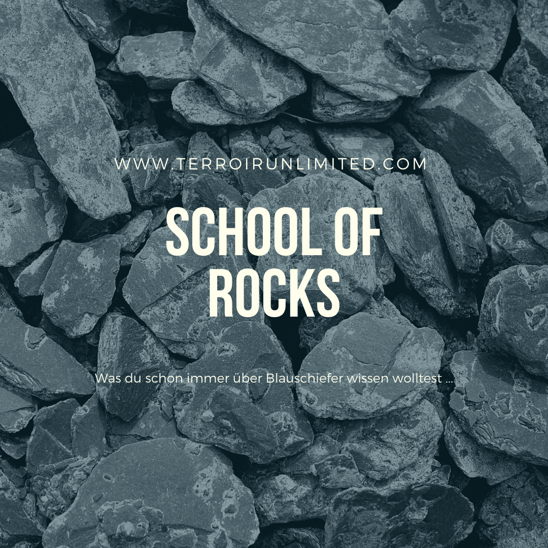 School of Rocks "Blauschiefer" - TERROIR UNLIMITED