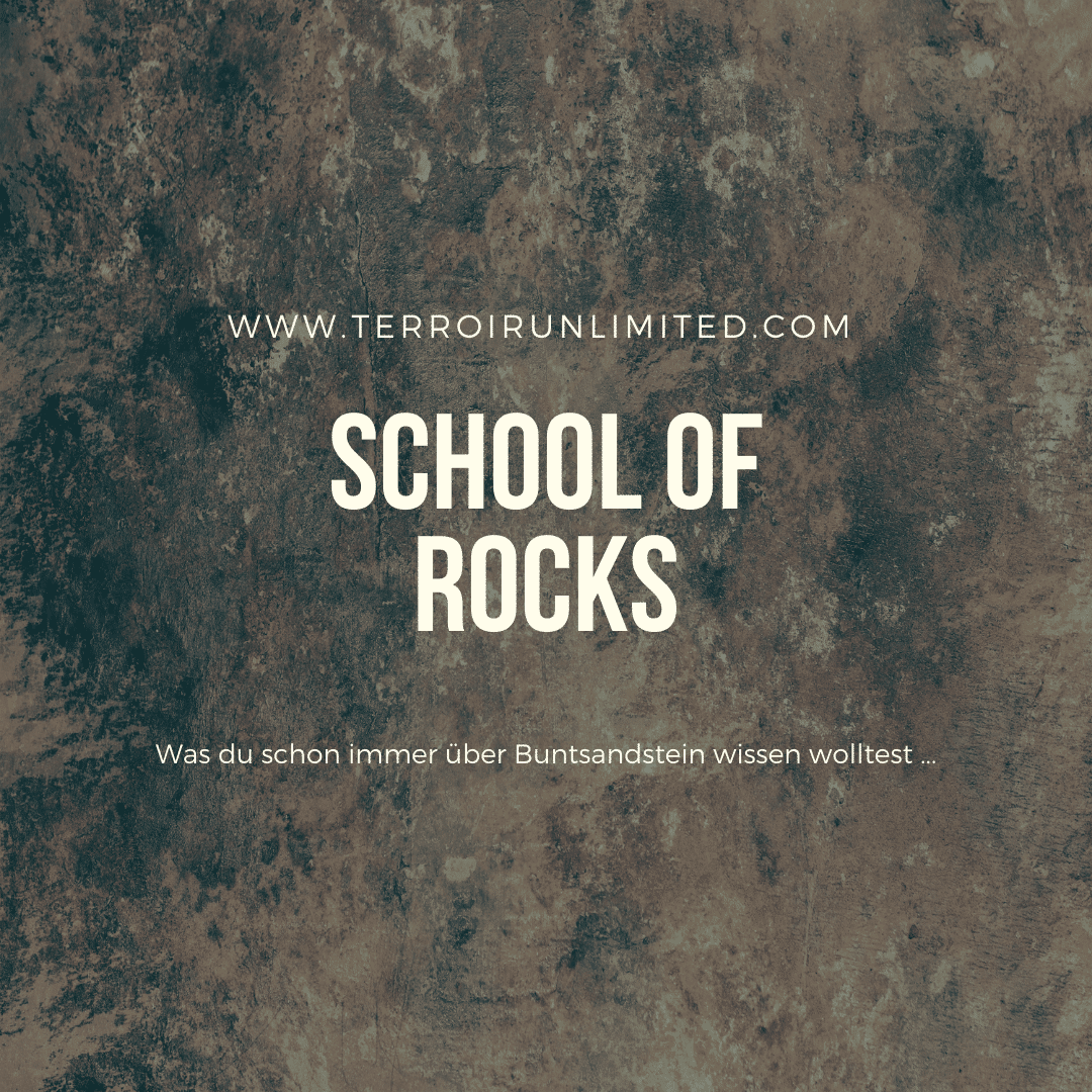 School of Rocks "Buntsandstein" - TERROIR UNLIMITED