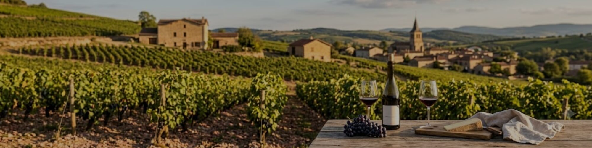 Beaujolais - TERROIR UNLIMITED