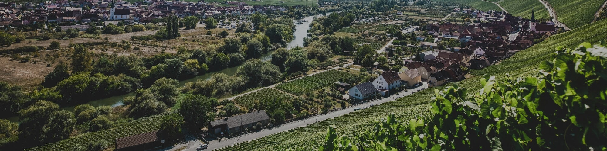 Franken - TERROIR UNLIMITED