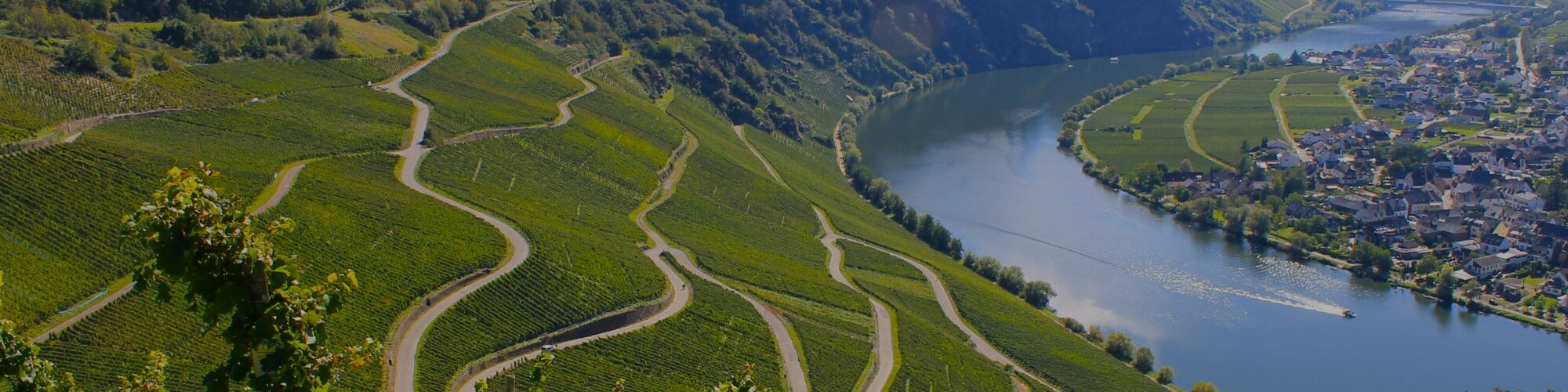 Mosel neu