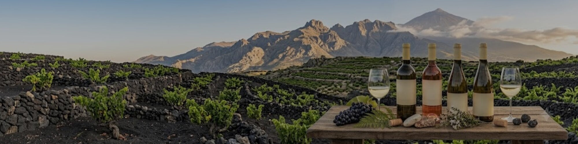 Teneriffa - TERROIR UNLIMITED