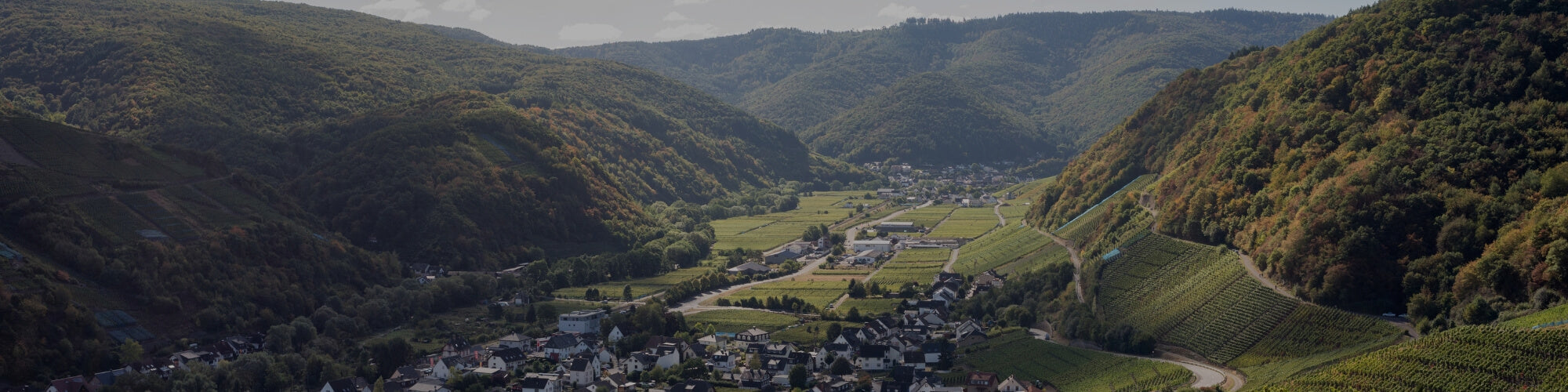 Ahr - TERROIR UNLIMITED