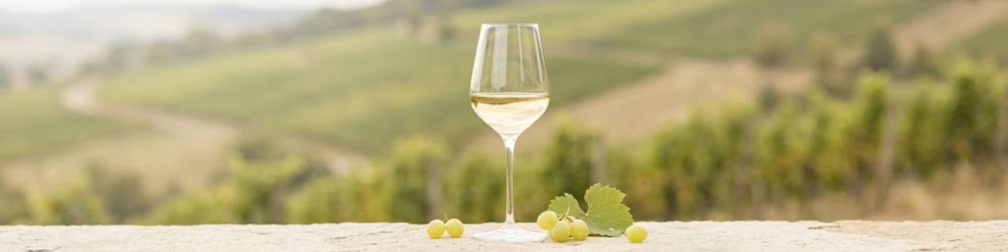 Kabinett - TERROIR UNLIMITED