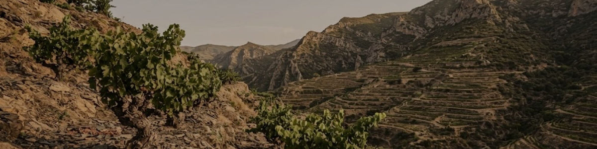 Priorat und Montsant - TERROIR UNLIMITED