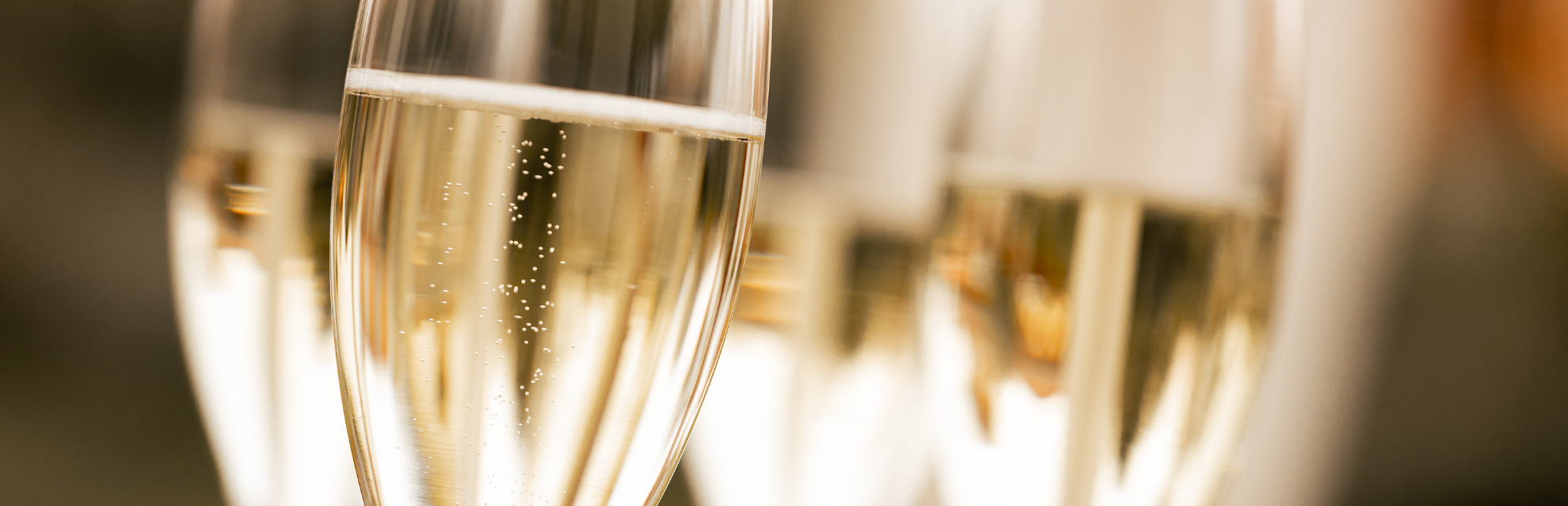 Winzersekt Terroir Unlimited Weinhandel
