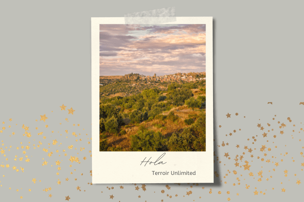 Cantalapiedra Viticultores