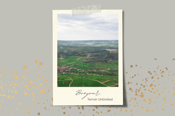 Clos du Moulin aux Moines