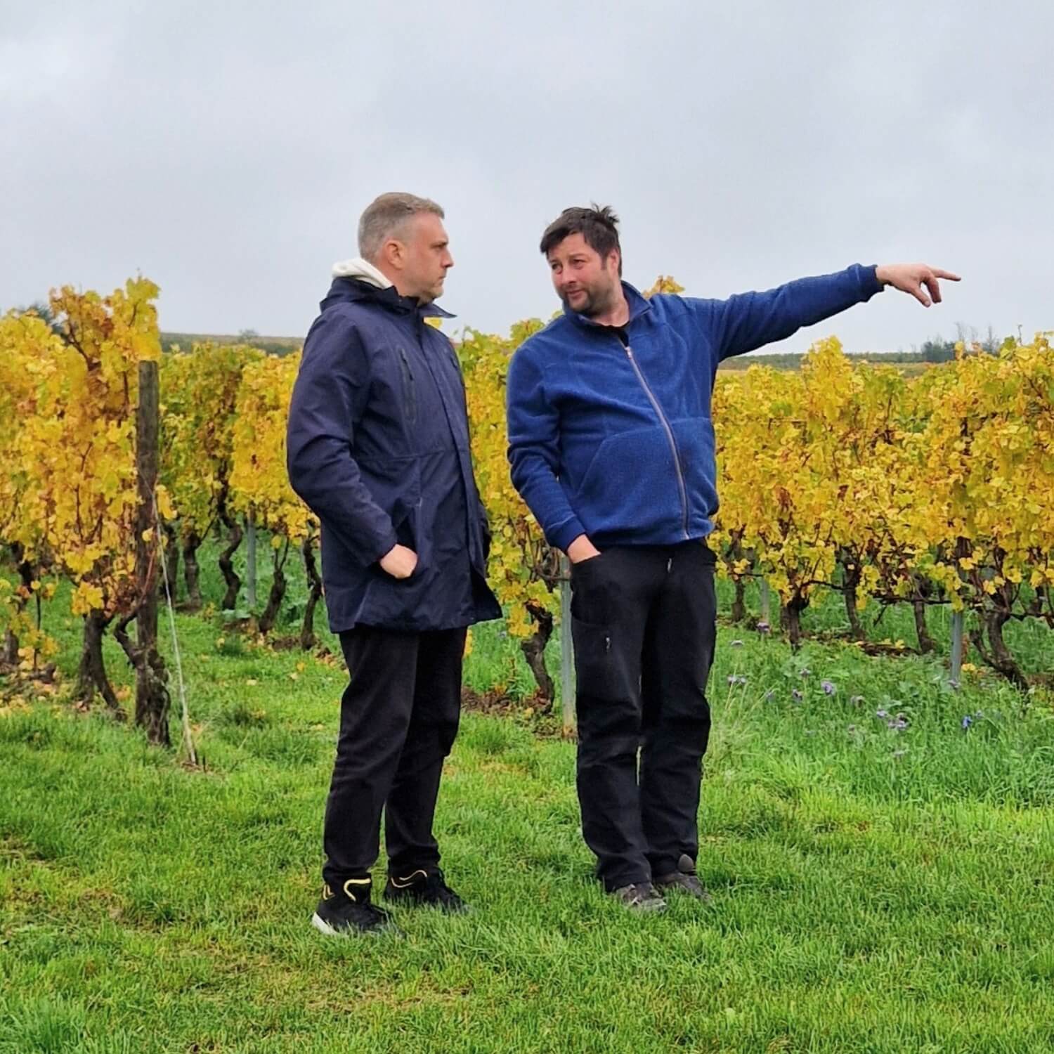 Weingut Gutzler Rheinhessen bei Terroir Unlimited Weinhandel
