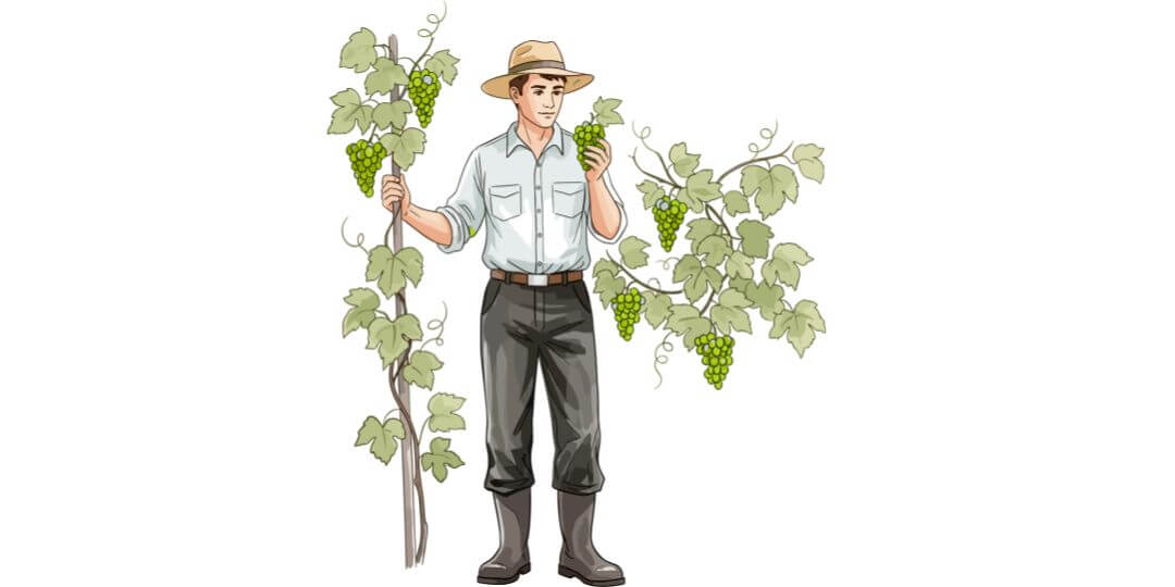 Handwerk Terroir Unlimited Weinhandel