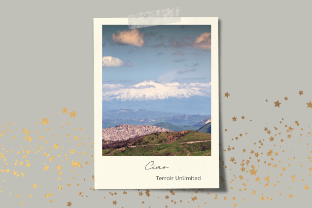  I Vigneri di Salvo Foti