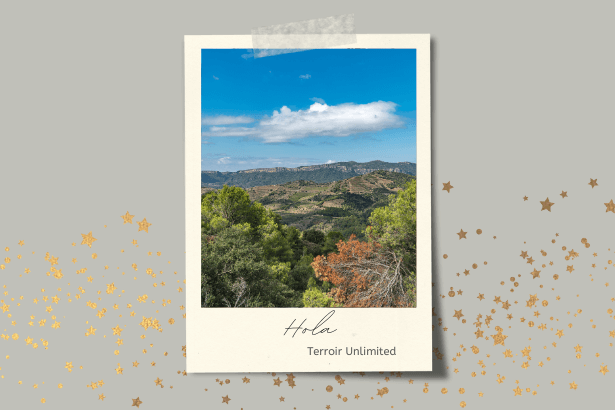 Terroir Sense Fronteres