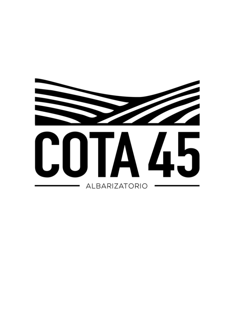 Cota 45 2022 UBE El Reventon Weißwein - TERROIR UNLIMITED