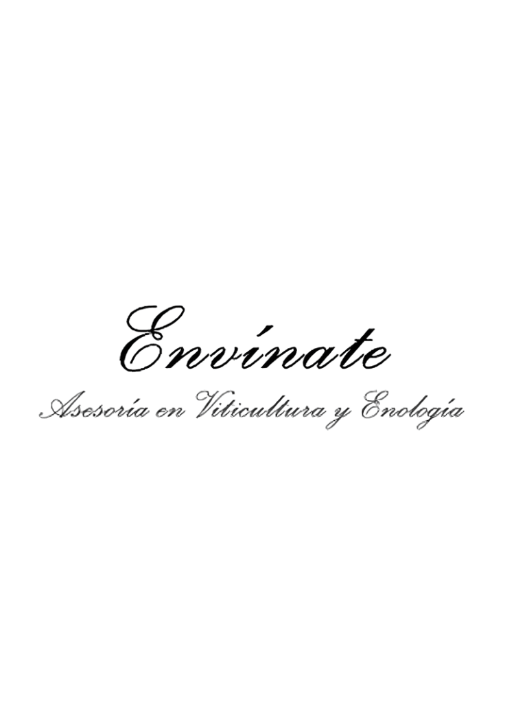 Envínate 2023 Táganan Margalagua Rotwein - TERROIR UNLIMITED