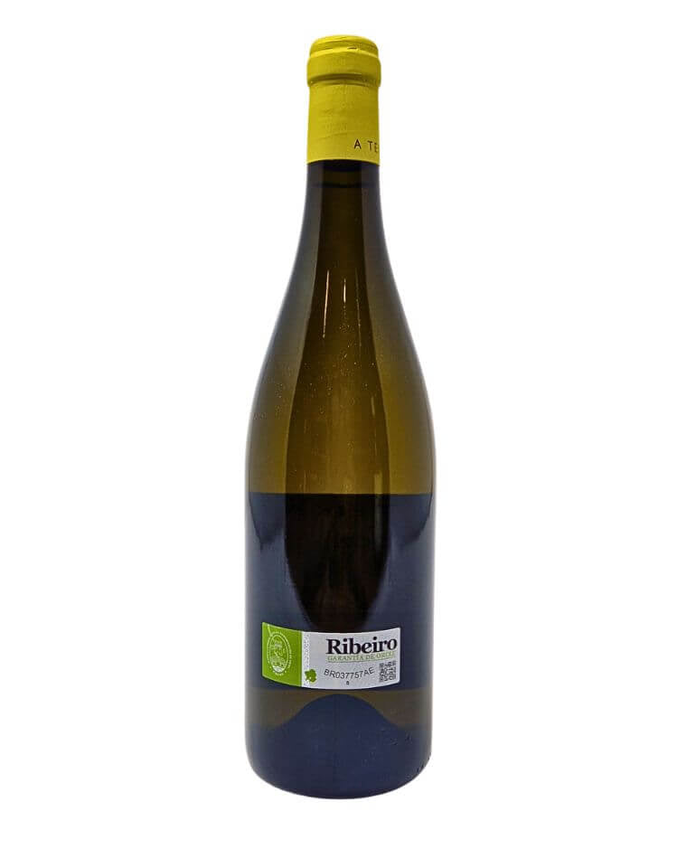 Luis Anxo Rodriguez 2022 Viña de Martin A Teixa Weißwein - TERROIR UNLIMITED