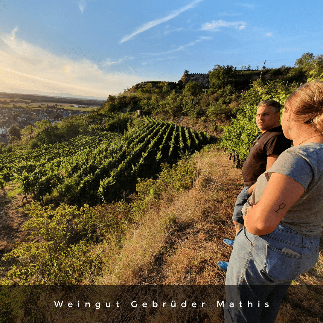 Mathis 2024 Weißburgunder Tuniberg Bio - TERROIR UNLIMITED