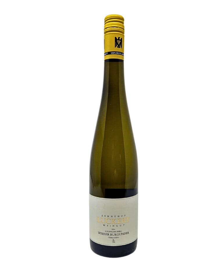 Zehnthof - Luckert 2024 Sulzfelder Berg Weisser Burgunder Terrassen Weißwein Bio - TERROIR UNLIMITED