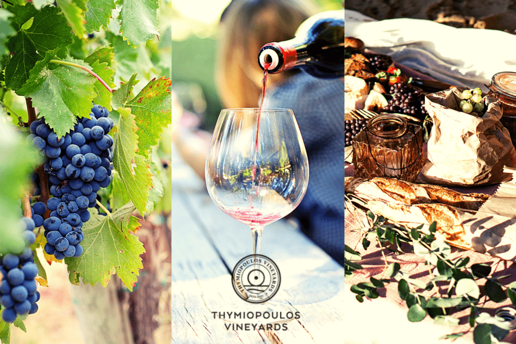 Weingut Thymiopoulos Bio Wein Griechenland
